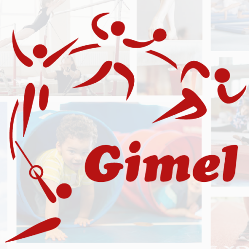 FSG Gimel logo